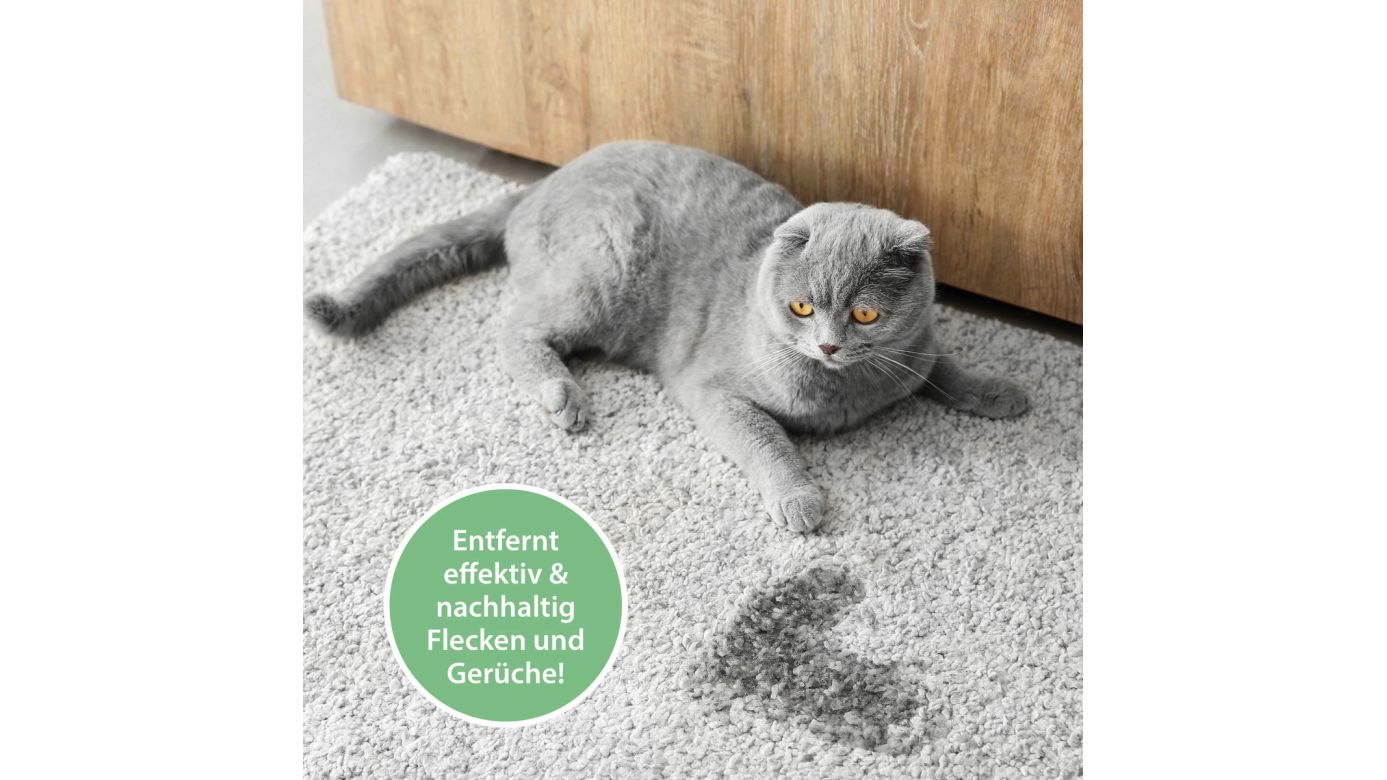 ARKA Pipi-Weg Urin- und Fleckenentferner Katze 750 ml