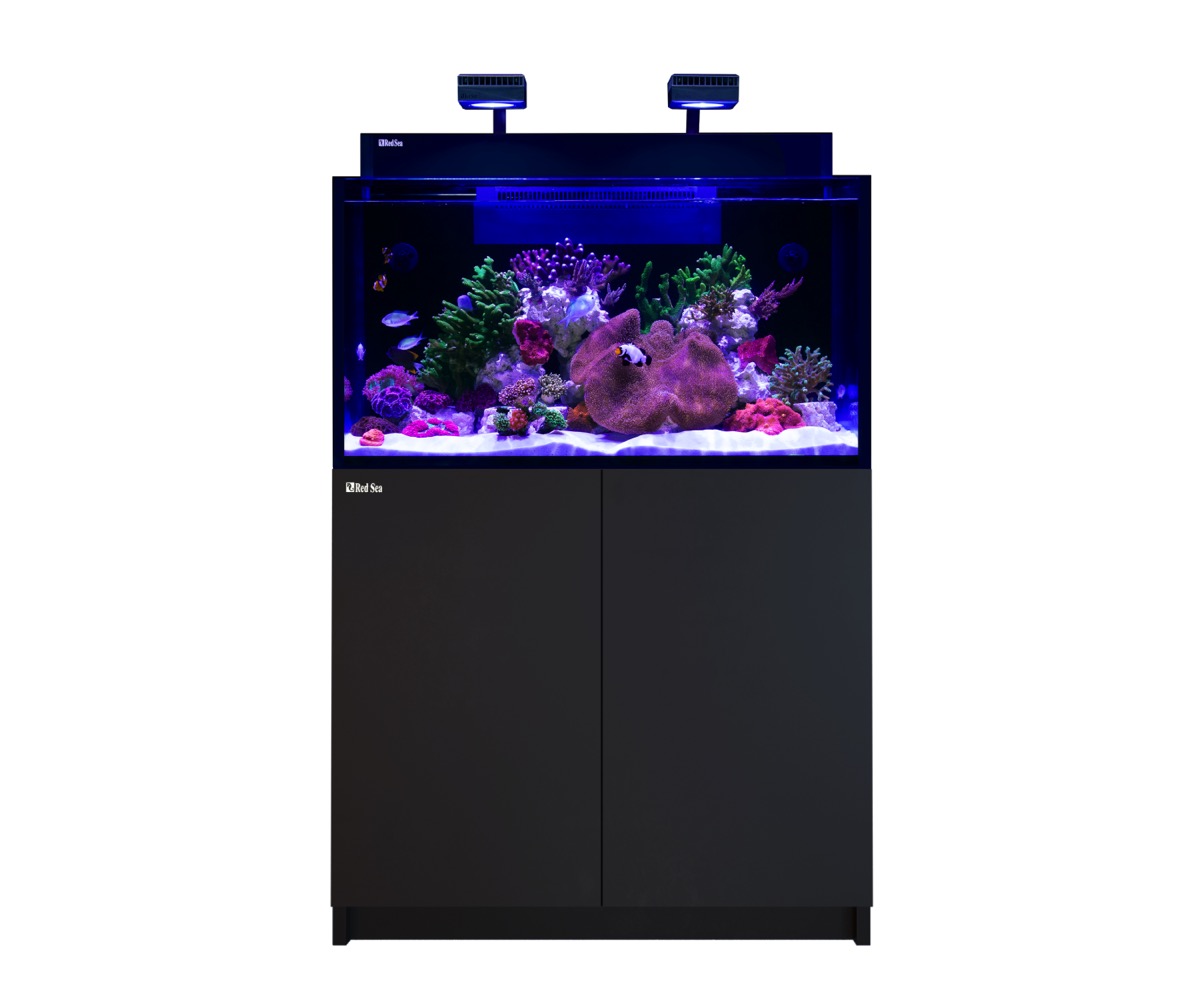 *NEU* Red Sea MAX NANO G2 XXL inkl. schwarzer Unterschrank (R40090G2-EUR)