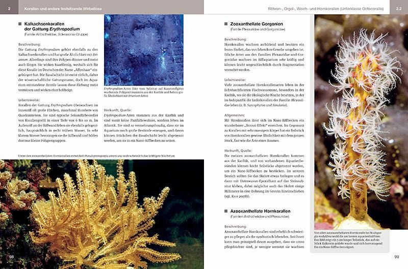 Nano-Riffaquarien Einrichtung, Besatz und Pflege kleiner Riffaquarien von 30 bis 150 L Daniel Knop (gebundenes Buch)