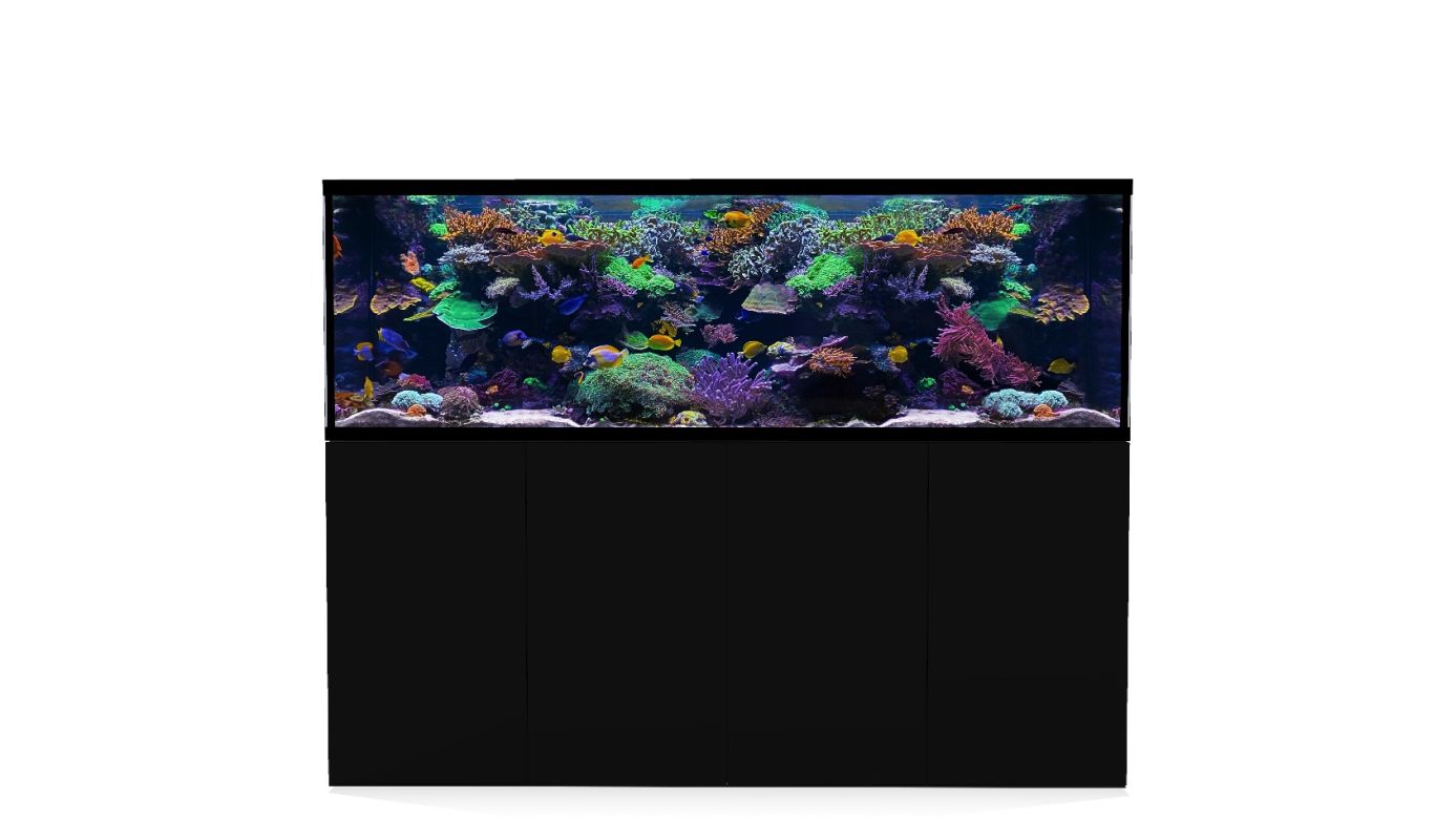 D-D AQUA-Pro Reef 2100 Metal Frame Black Satin Aquariumsystem 210x65x68cm