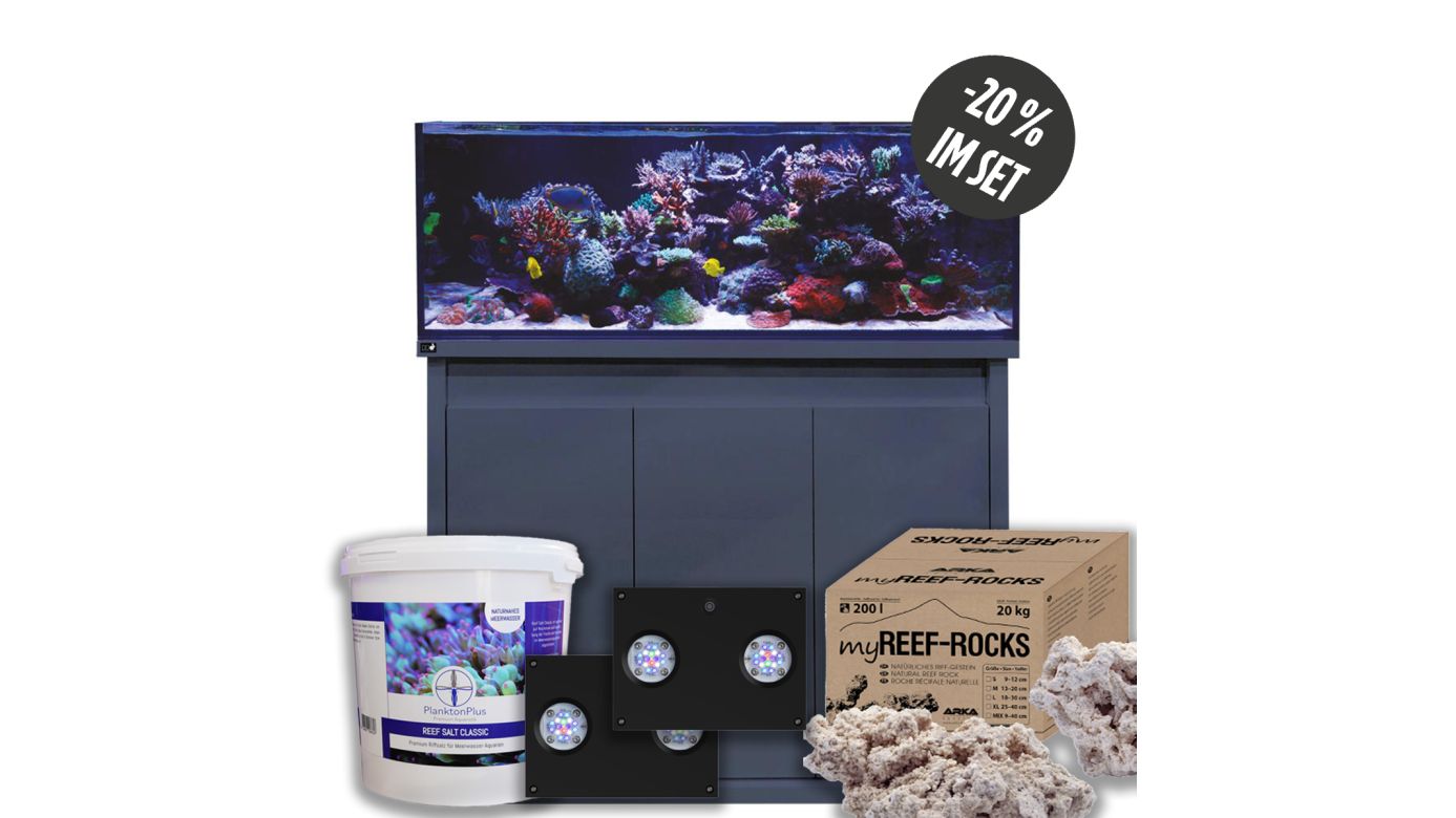 D-D Reef-Pro 1200 D-LUX Anthracite Gloss Aquarium inkl. Beleuchtung, Riffaufbau, Salz