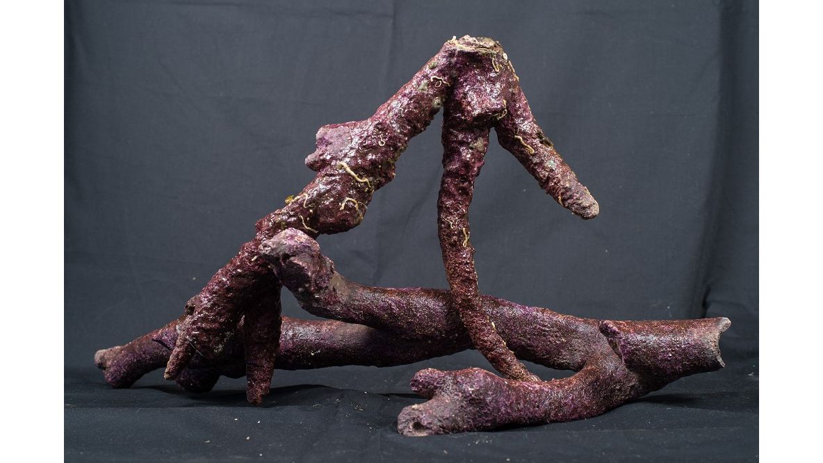 Real Reef Branched Rock 16 kg Box