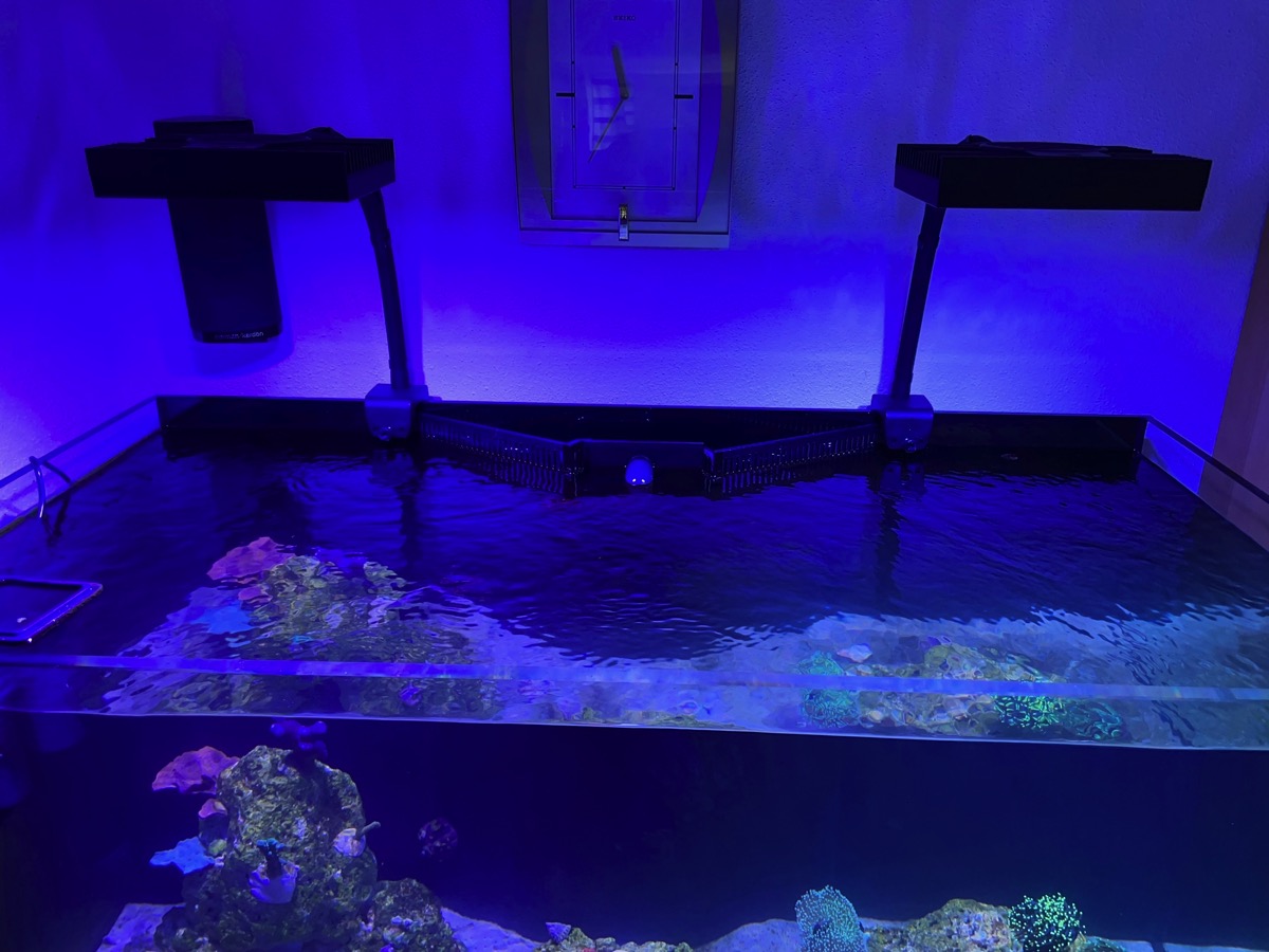 D-D AQUA-Pro Reef 1200 Black Satin 120x60x56cm Aquariumsystem mit Holzschrank
