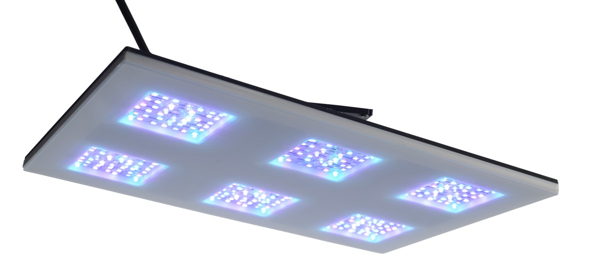 b.SPX b.OCEAN Gravity32 3x2 Modul 90 W