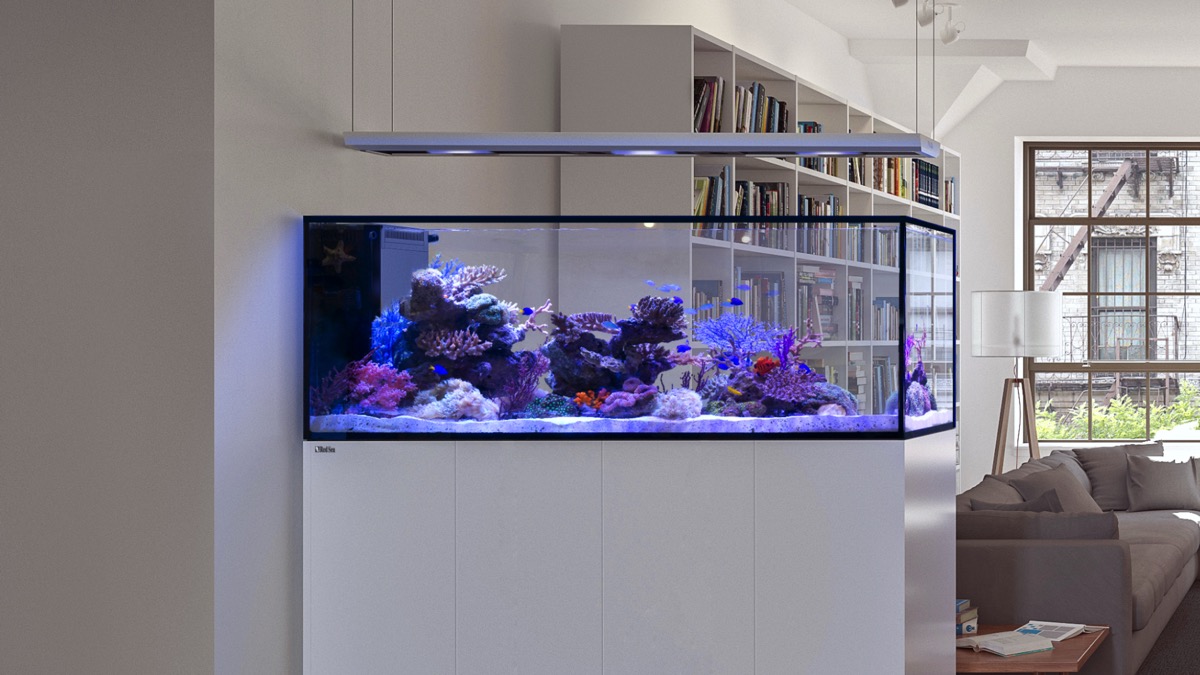 *NEU* Red Sea REEFER 250 System G3 Weiß (R45126)