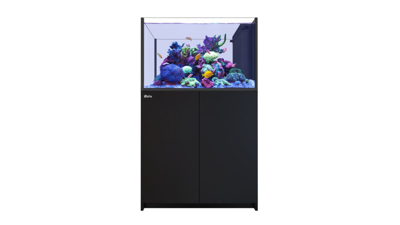 Red Sea REEFER™ Peninsula G2+ 350 System Raumteiler Schwarz (R43501G2P-EUR)