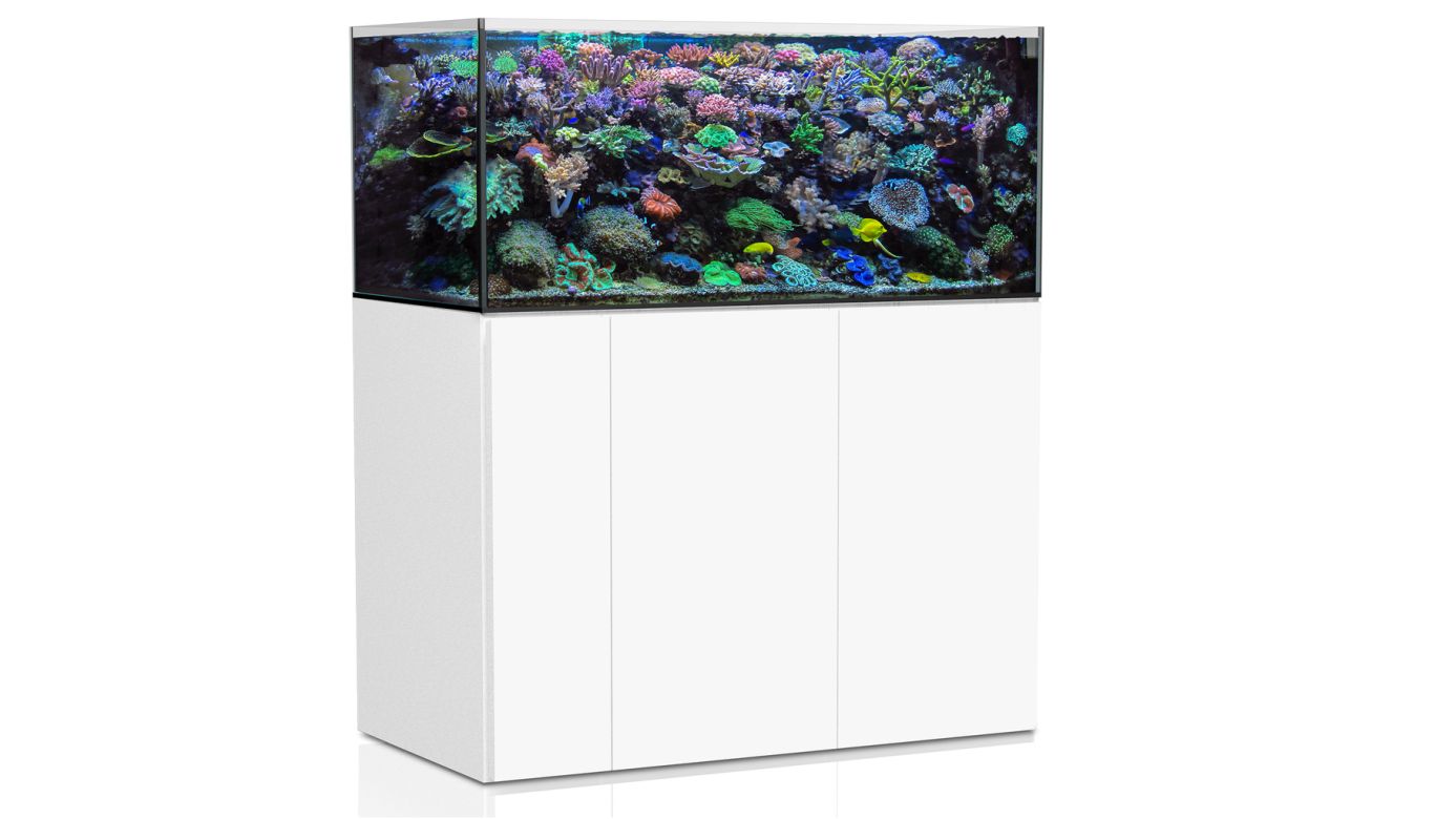 Aqua Medic Armatus 500 XD weiß 125x65x55 cm