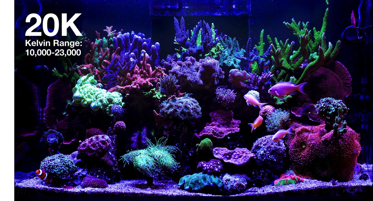 *NEU* Red Sea ReefLED G2 170 (170W) (R35930EUR)