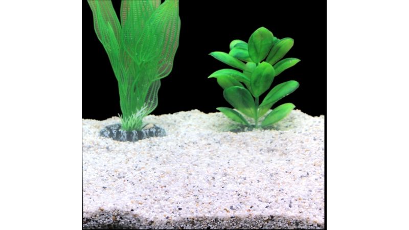 Silbermann Natural Gravel natürlicher, heller Bodengrund (2-4mm) 10 kg