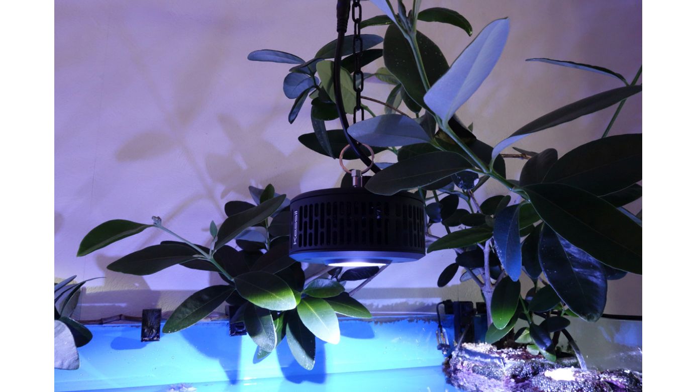 Kessil A360XE Tuna Blue (max. 90 W)