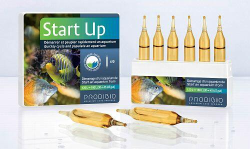 Prodibio Start Up Bakterien Meerwasser und Süßwasser 6 Ampullen