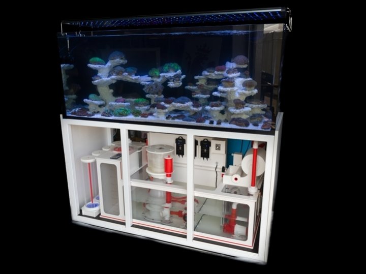 AquaPerfekt ReefTank Exklusiv 430 Liter Systemaquarium (120x60x60 cm)
