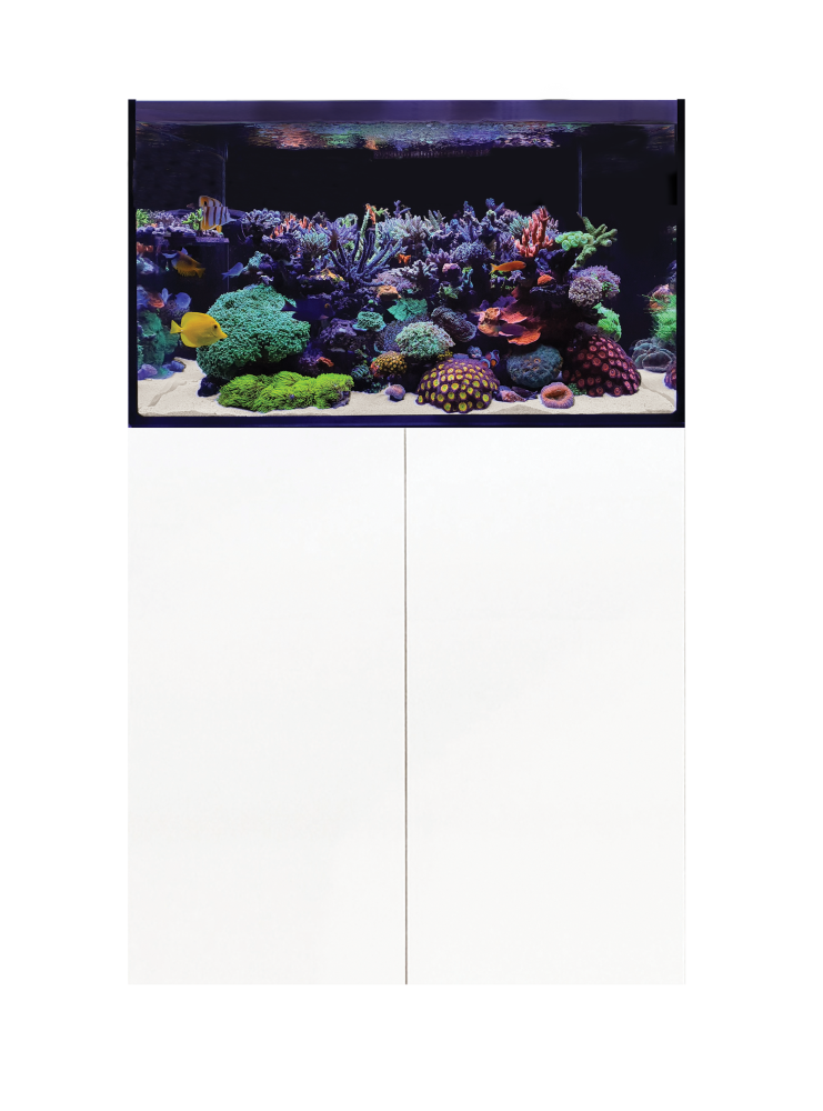 D-D AQUA-Pro Reef 900 White Gloss 90x50x60cm Aquariumsystem mit Holzschrank