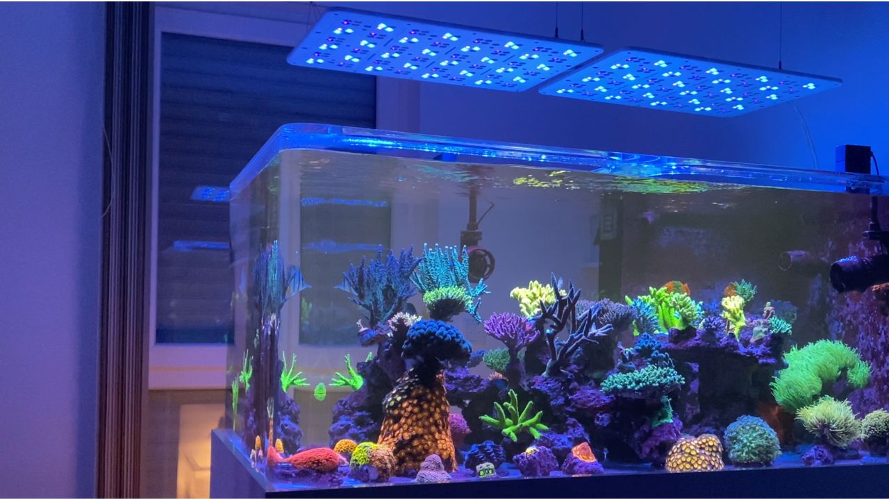 ATI Straton Pro G2 204 LED anthrazit (max. Ausleuchtung 100x80cm)