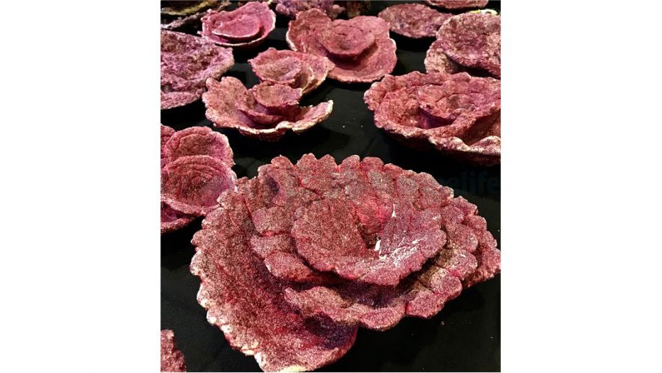 Real Reef Plate Corals (10 St.) 25 kg