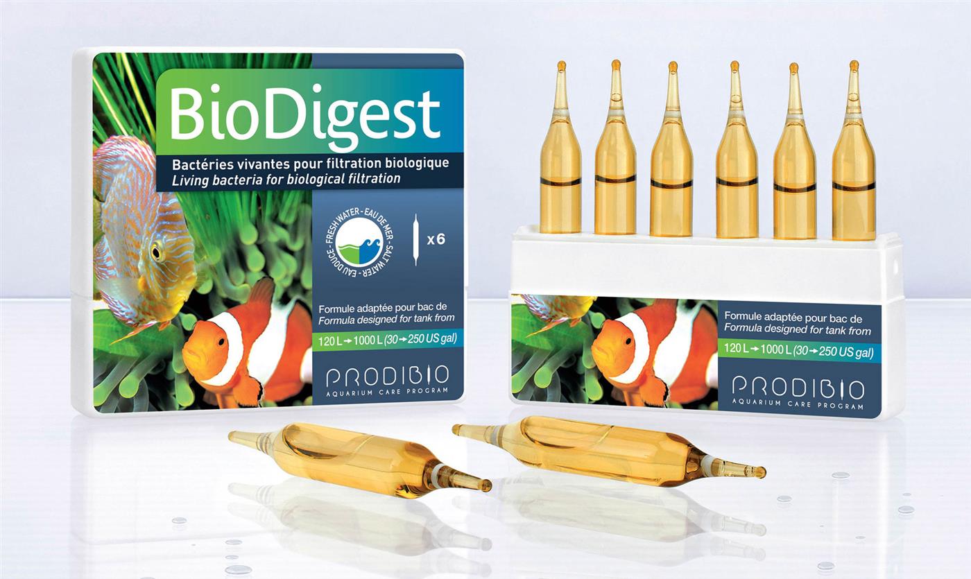 Prodibio BioDigest Bakterienmischung für Meer- und Süßwasser 12 Ampullen