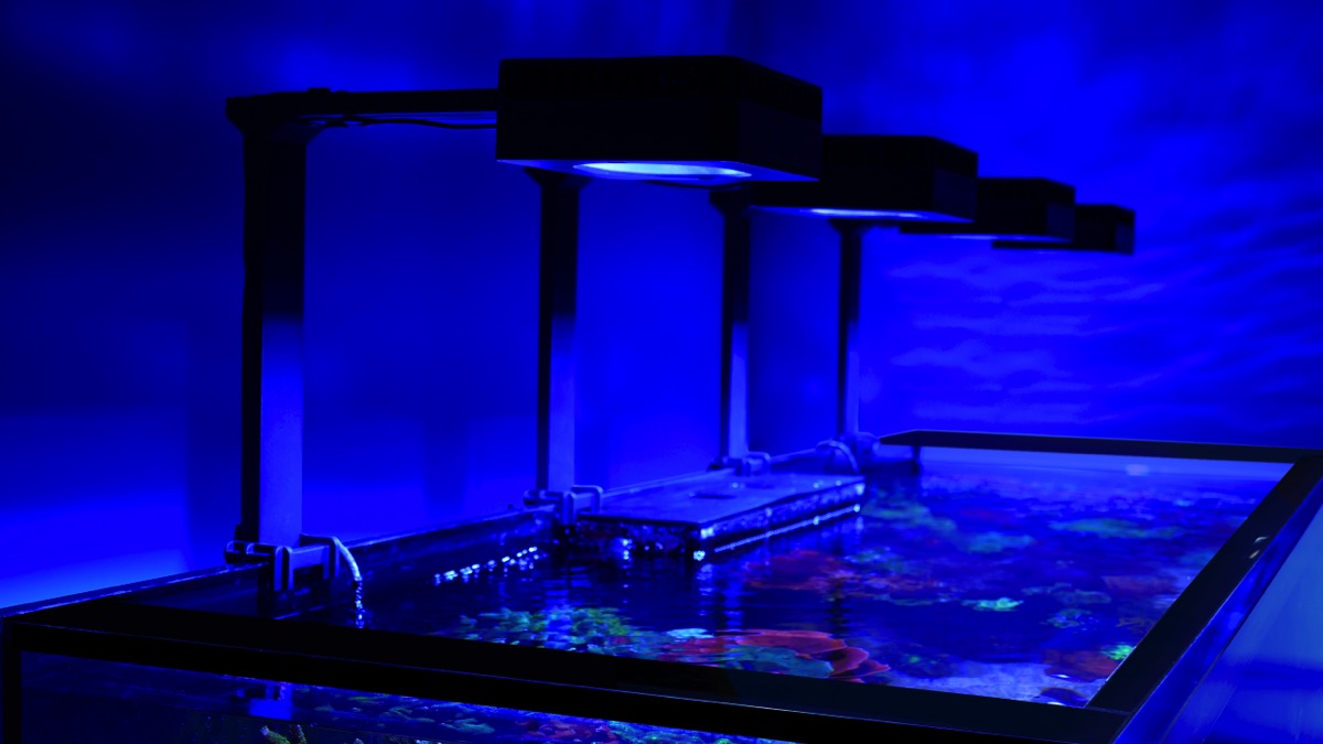 *NEU* Red Sea REEFER 250 System G3 Weiß (R45126)