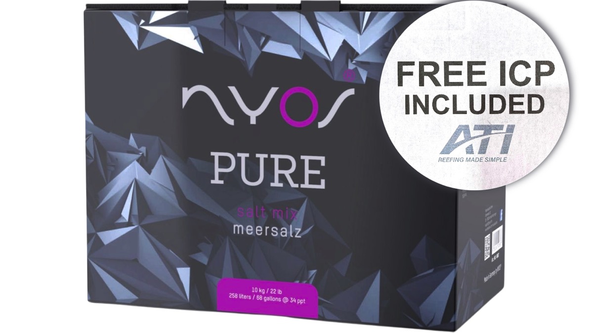 AKTION + Free-ICP: Nyos Pure Meersalz 10 kg Karton