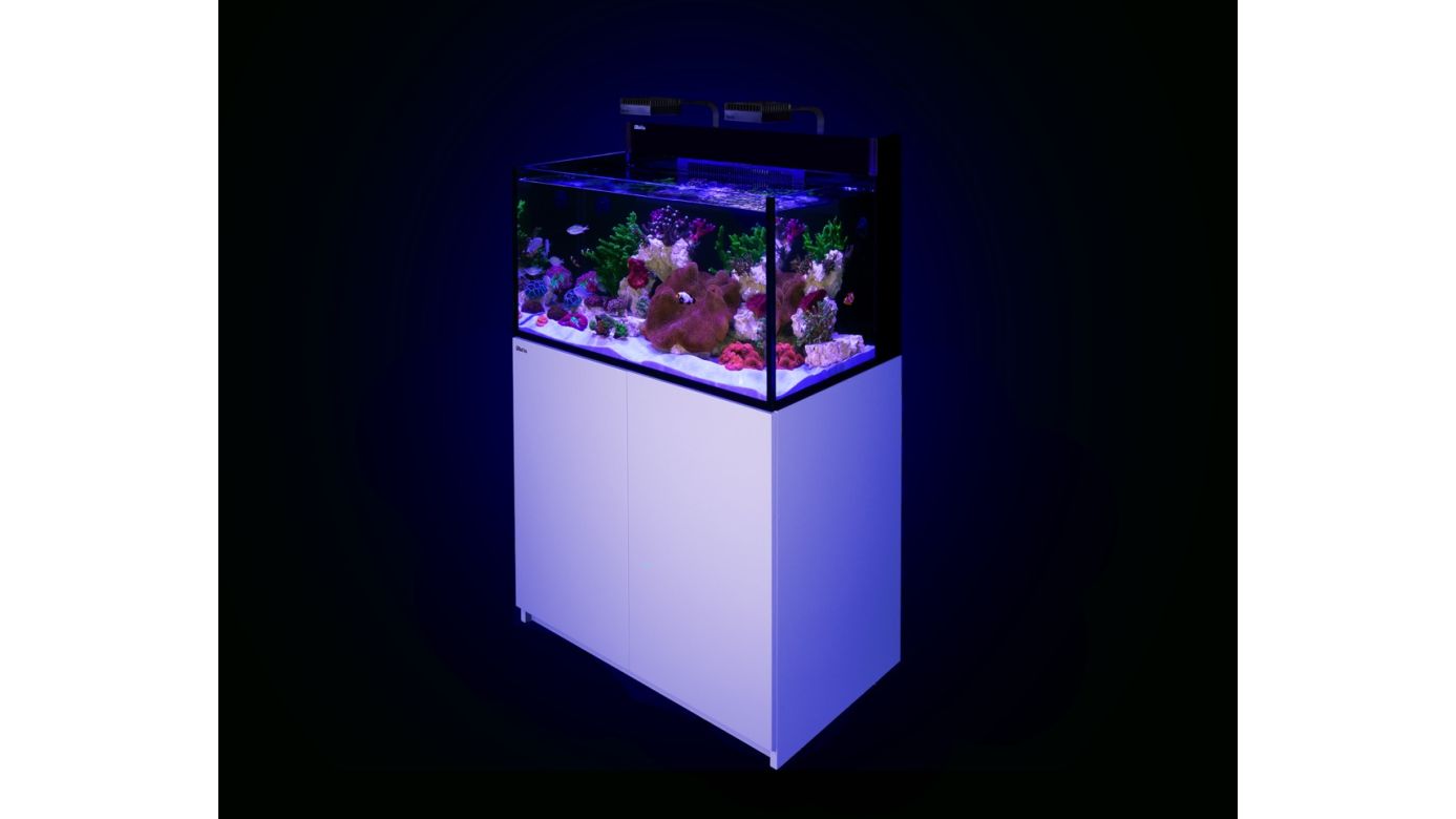 Aussteller: 1x Red Sea MAX NANO G2 XXL inkl. schwarzer Unterschrank (R40090G2-EUR)
