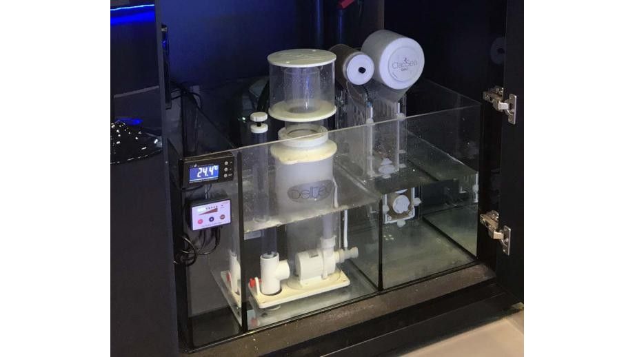 D-D Reef-Pro 1200 Driftwood Concrete Aquariumsystem 120x60x46cm