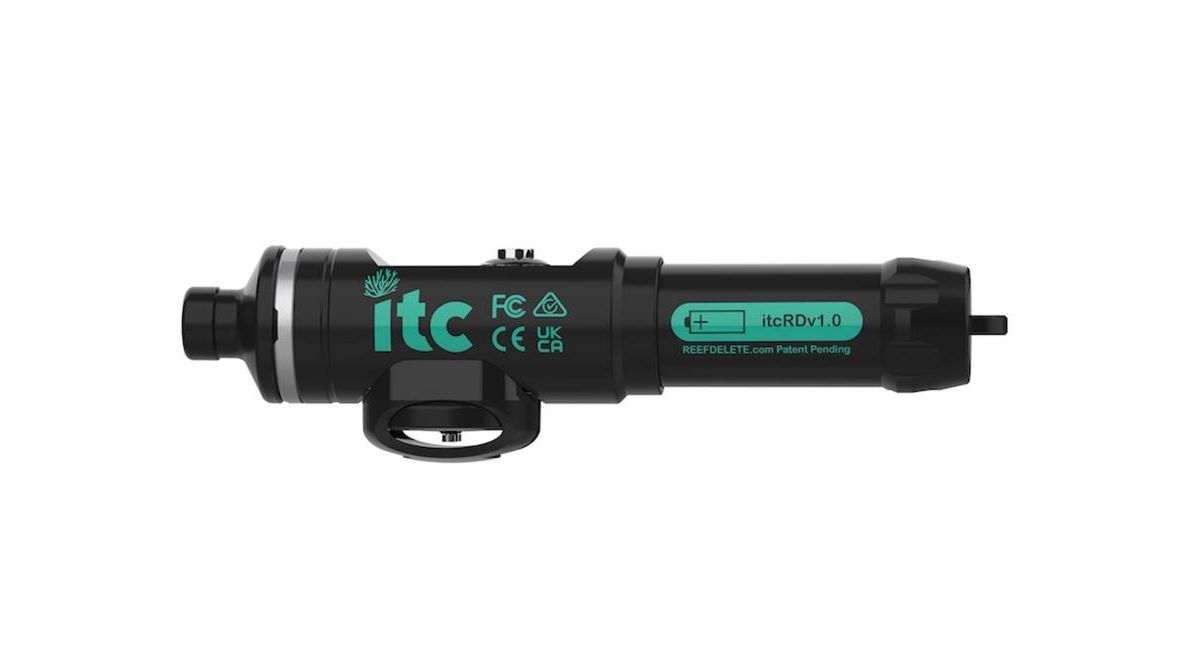 ITC Reef Delete Vernichtet Aiptasia, Mojano, Algen, Cyano, Plattwürmer uvm.