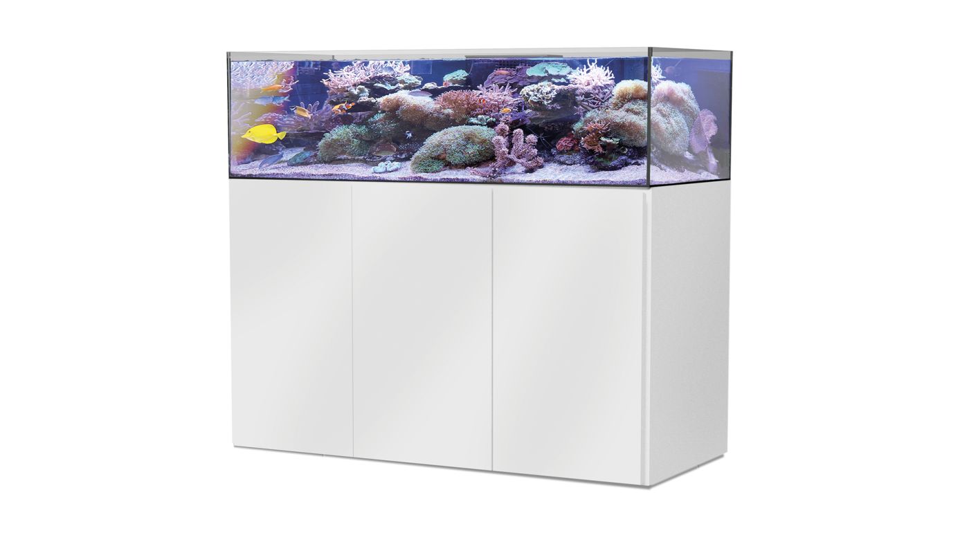 Aqua Medic Armatus Lagoon 400 weiß 150x65x40 cm