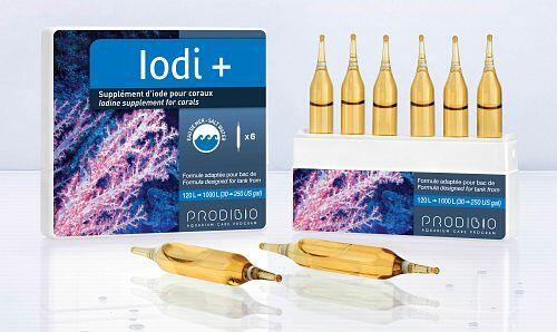 Prodibio Jodi+ Jod Spurenelement Meerwasser 6 Ampullen
