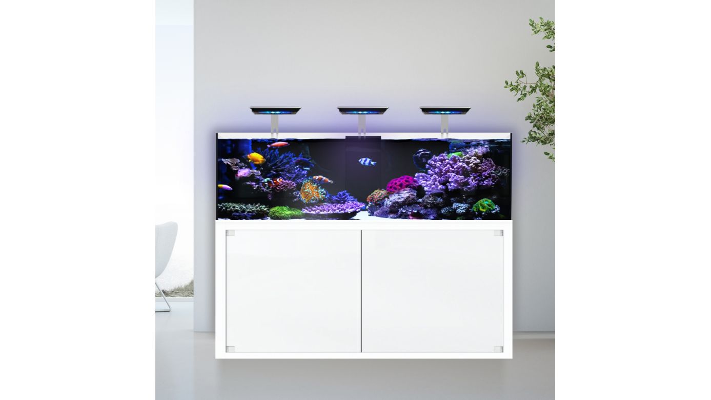 Giesemann LINEA 85/160 Aquarium complete 160x60x55cm WHITELINE|3x TESZLA evo marine
