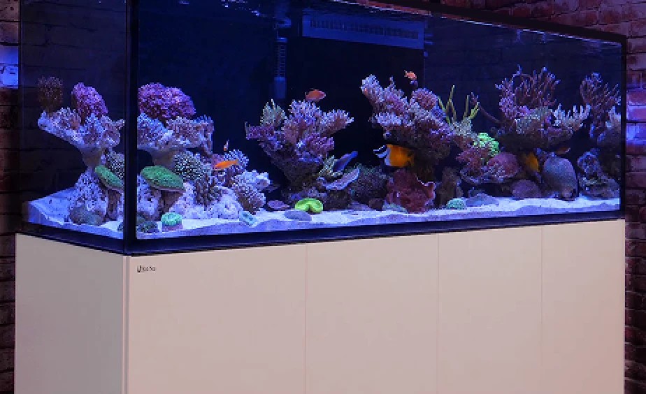*NEU* Red Sea REEFER MAX Peninsula S-950 System G3+ Weiß (R43809-EUR)