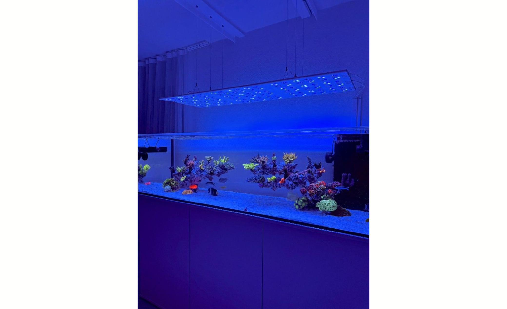ATI Straton Flex G2 153 LED anthrazit (für Aquarienlängen 145-170cm) (nicht mehr im Sortiment)