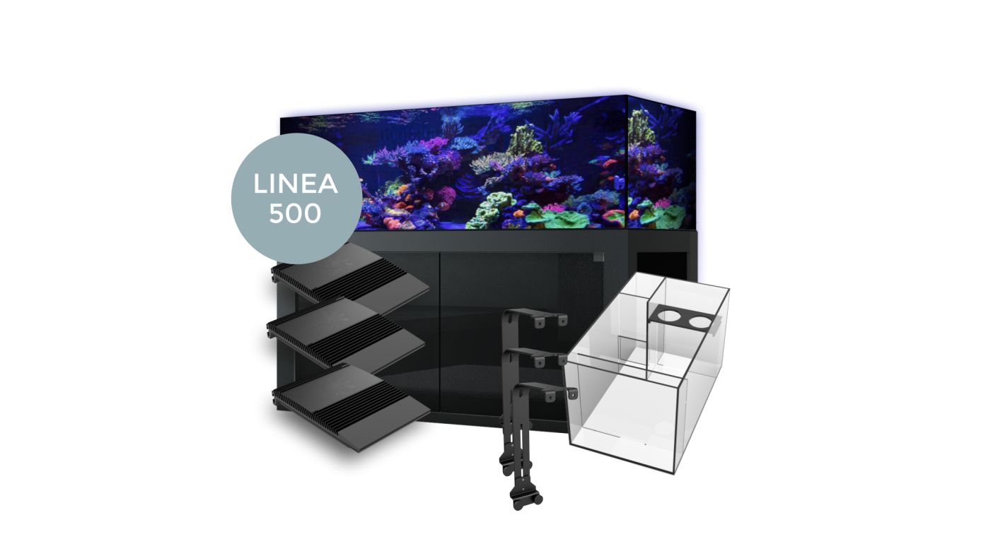 Giesemann LINEA 85/160 Aquarium complete 160x60x55cm BLACKLINE|3x TESZLA evo marine