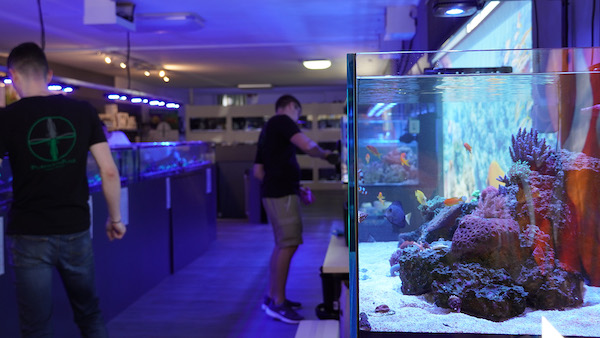 PlanktonPlus Aquaristik Fachgeschäft Nürnberg Bayern