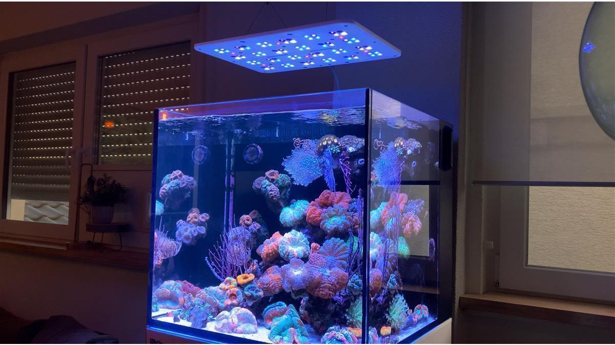 ATI Straton Pro G2 204 LED anthrazit (max. Ausleuchtung 100x80cm)