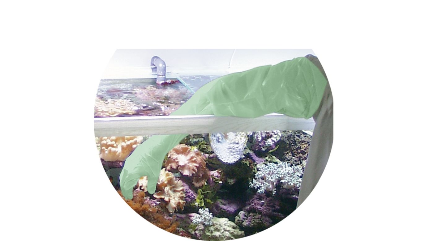 Tunze Schutzhandschuhe 10 St. (0220.510)