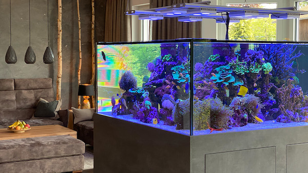 Aquarienbau Aquarienservice Meer- und Süßwasser