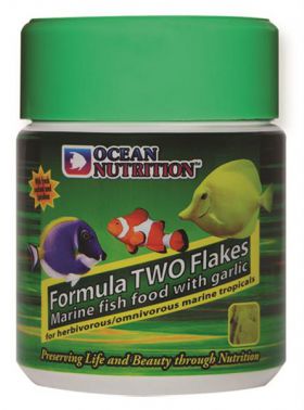 Ocean Nutrition Formula Two Flake mit Knoblauch 156gr.