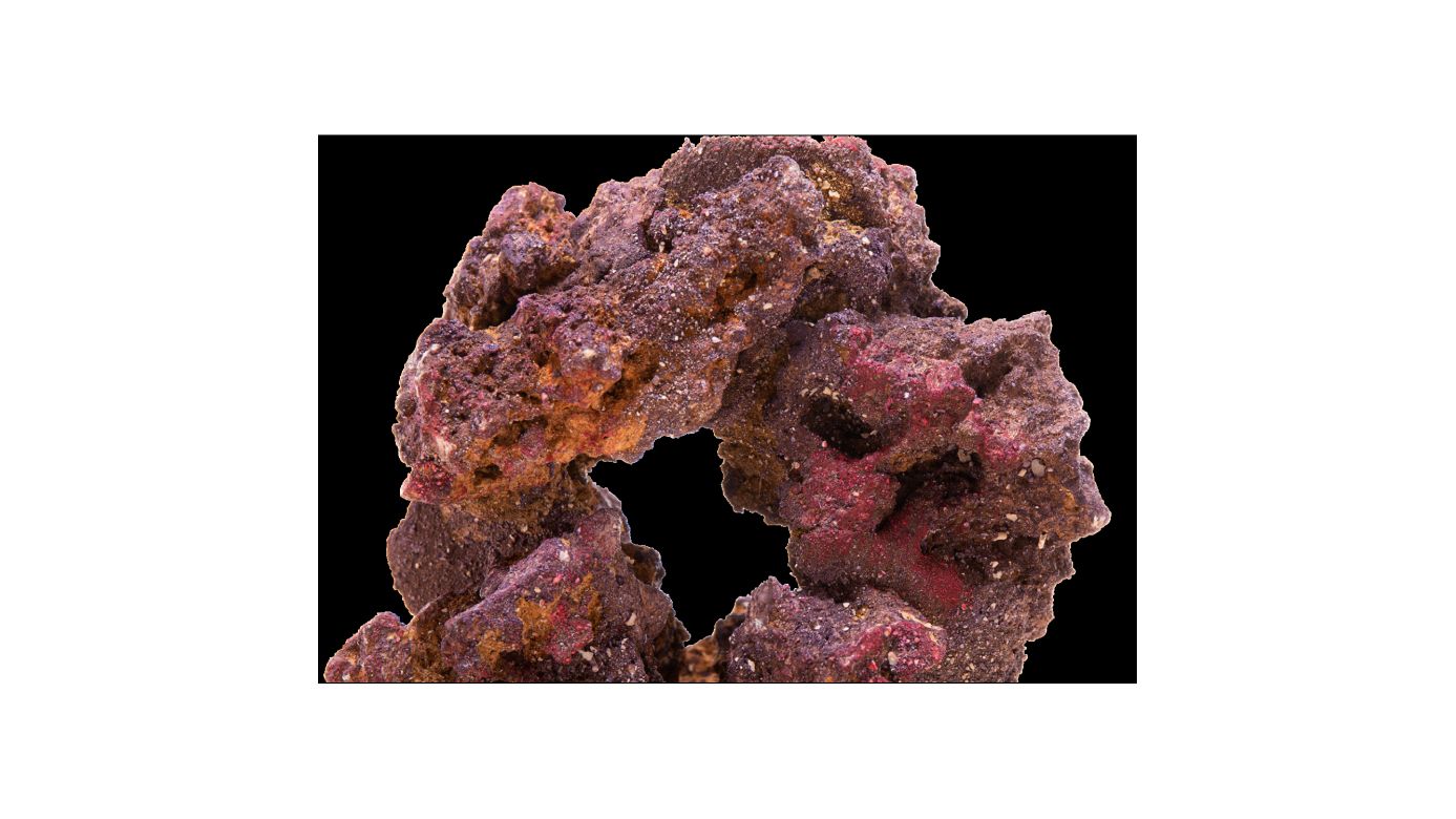 CaribSea LifeRock Donuts 4 per box (ca. 18cm)