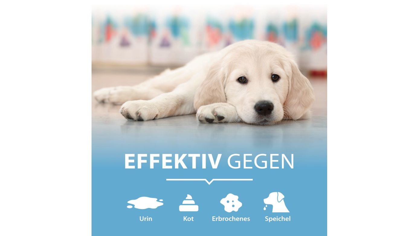 ARKA Pipi-Weg Urin- und Fleckenentferner Hund 750 ml