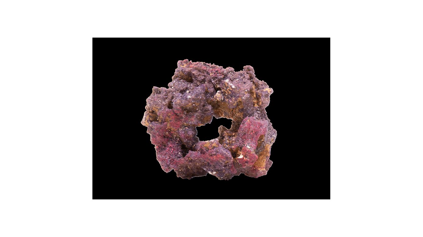 CaribSea LifeRock Donuts 4 per box (ca. 18cm)