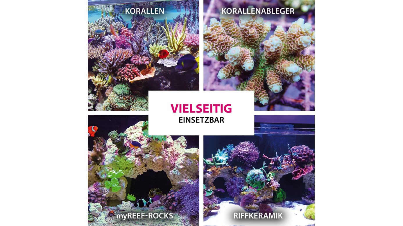 ARKA Coralscaper Liquid Korallen Sekundenkleber flüssig 50 g