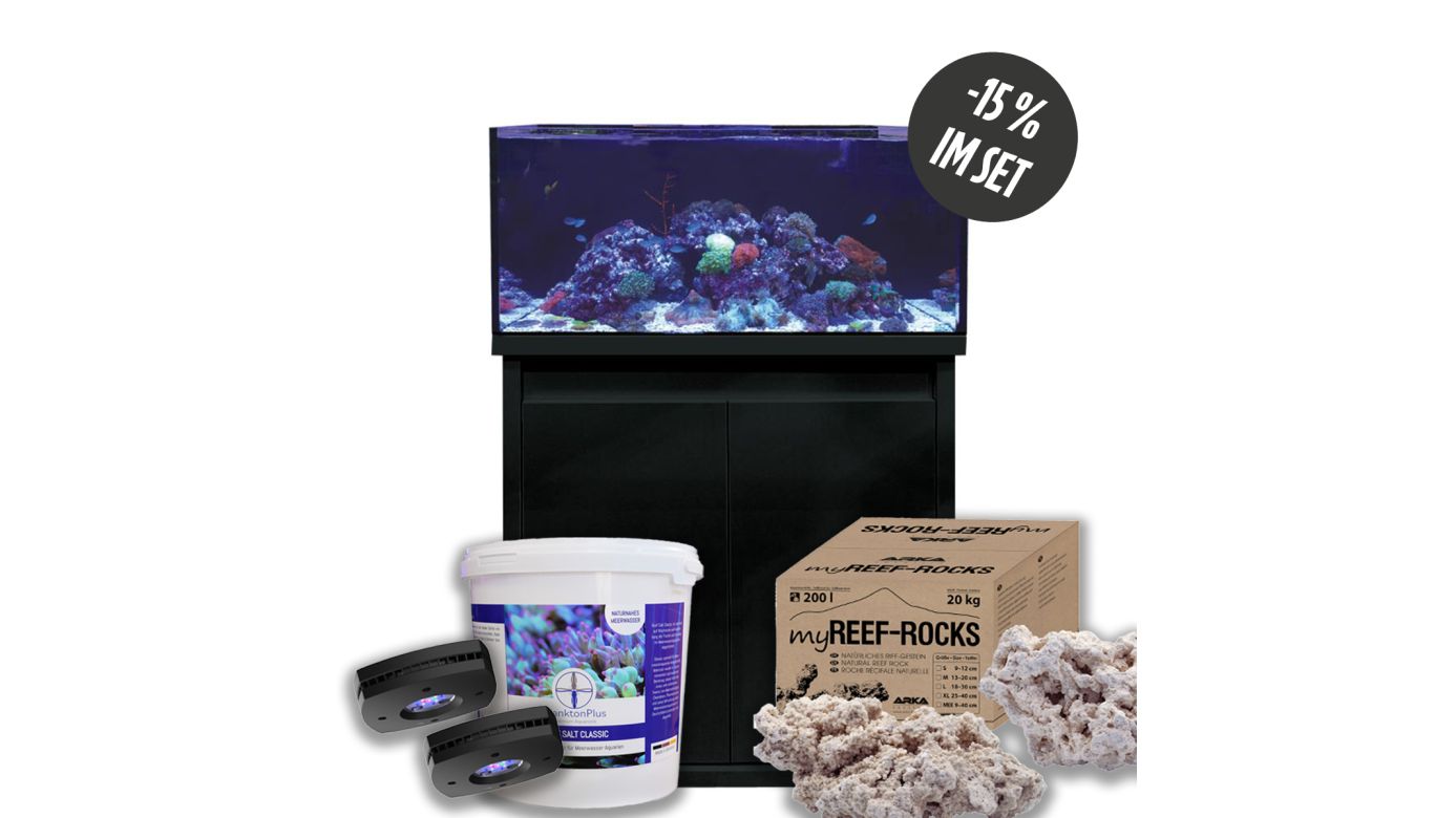 D-D Reef-Pro 900 D-LUX Black Gloss Aquarium inkl. Beleuchtung, Riffaufbau, Salz