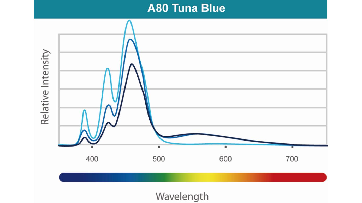 Kessil A80 Tuna Blue (Marine) (max. 15 W)