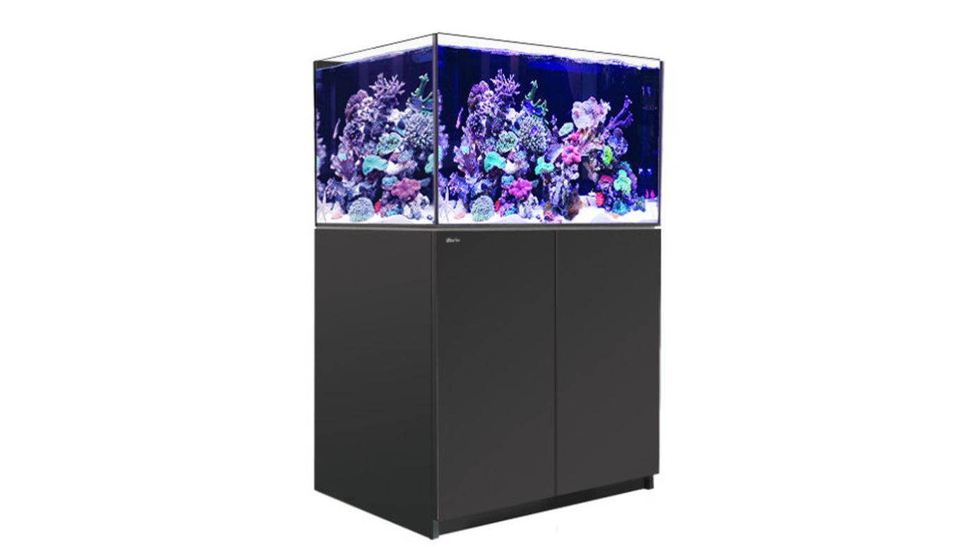 Red Sea REEFER™ 300 System G2+ Schwarz (R42471G2P-EUR)