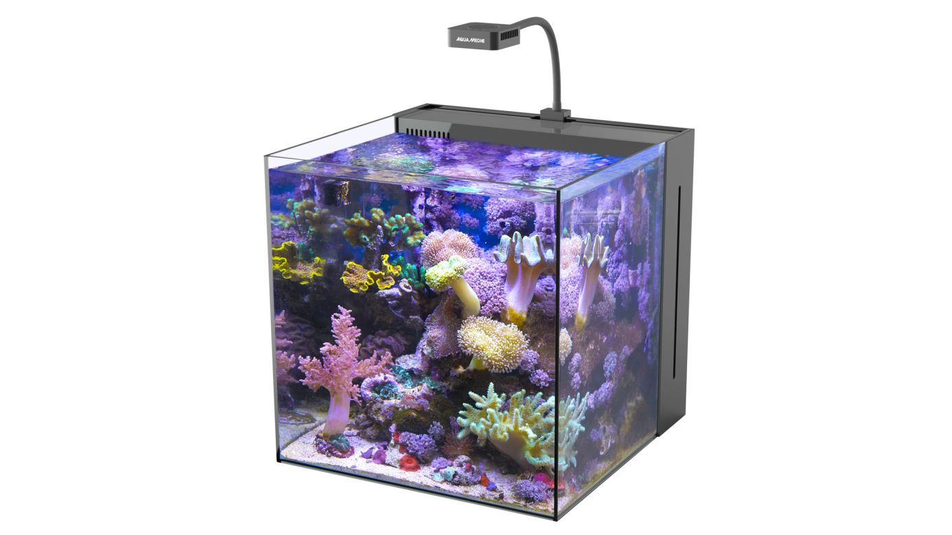 Kopie von Aqua Medic Yasha 60 (40x40x40 cm) #1