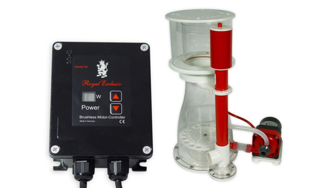 Royal Exclusiv Bubble King® Double Cone 250