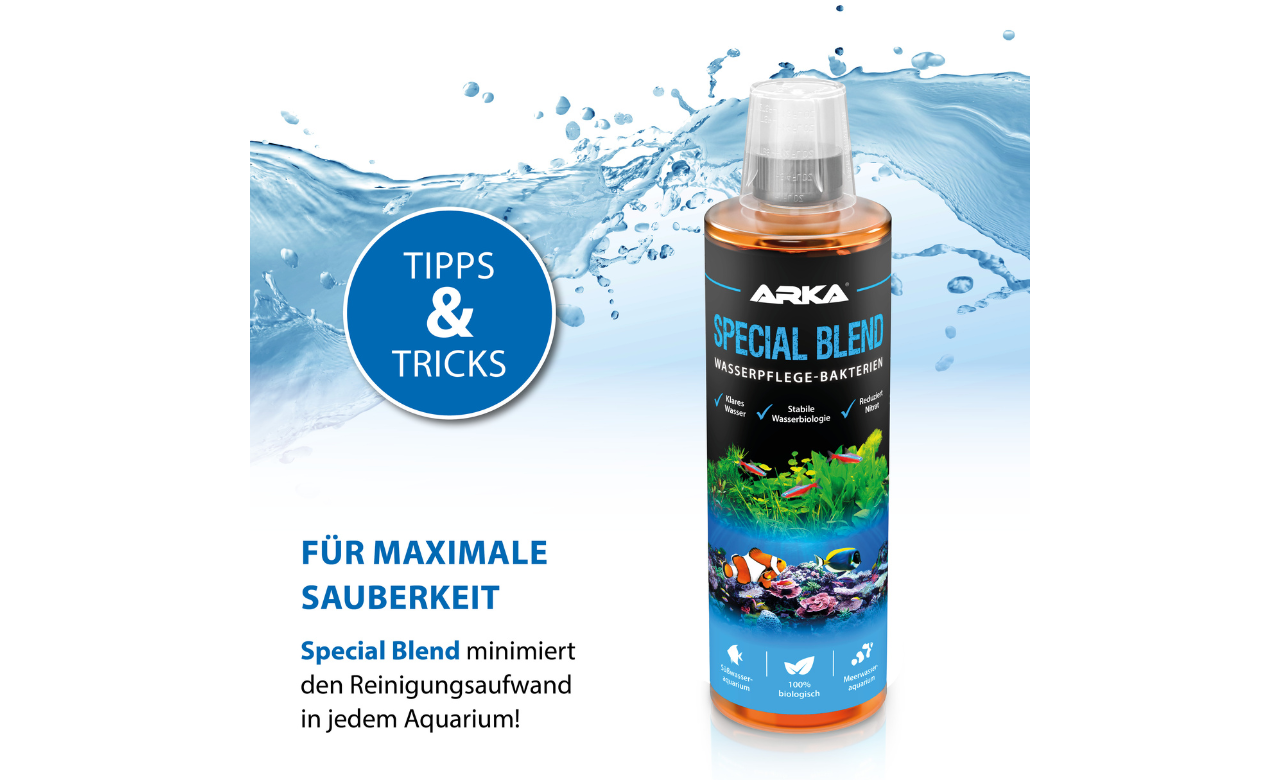 ARKA Gel Starter Filter Starter 118 ml