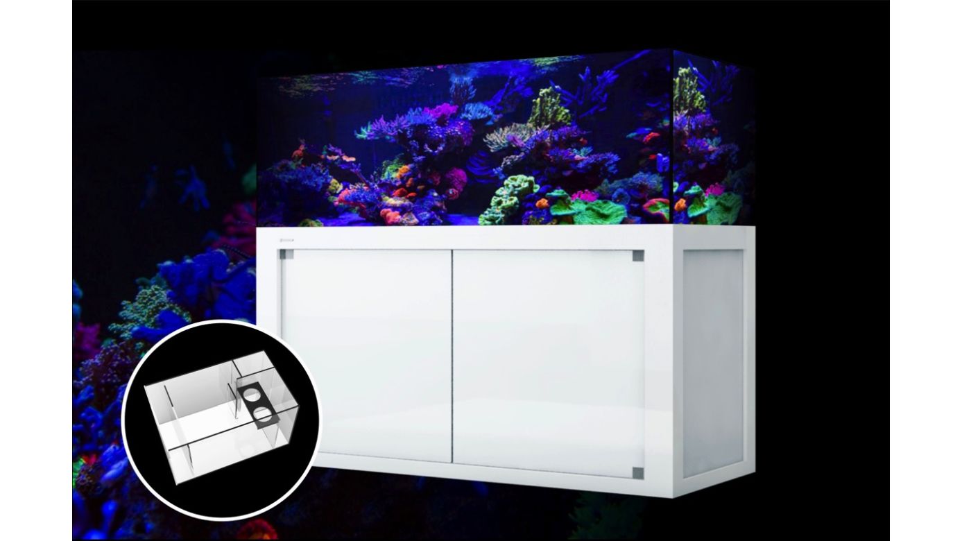 Giesemann LINEA 85/160 Aquarium 160x60x55cm Ohne Leuchten Eigene Farbkombination Titan soft Feinstruktur (+ Aufpreis) Glas hochglanz creme