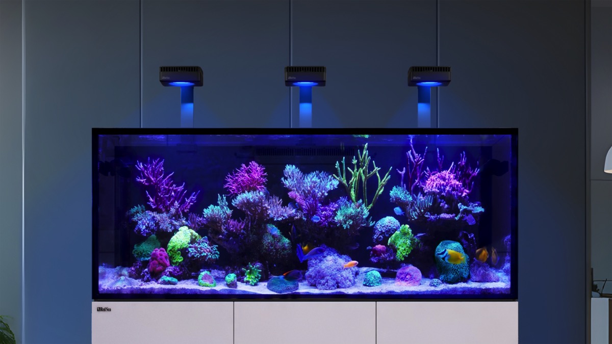 *NEU* Red Sea REEFER 250 System G3 Weiß (R45126)