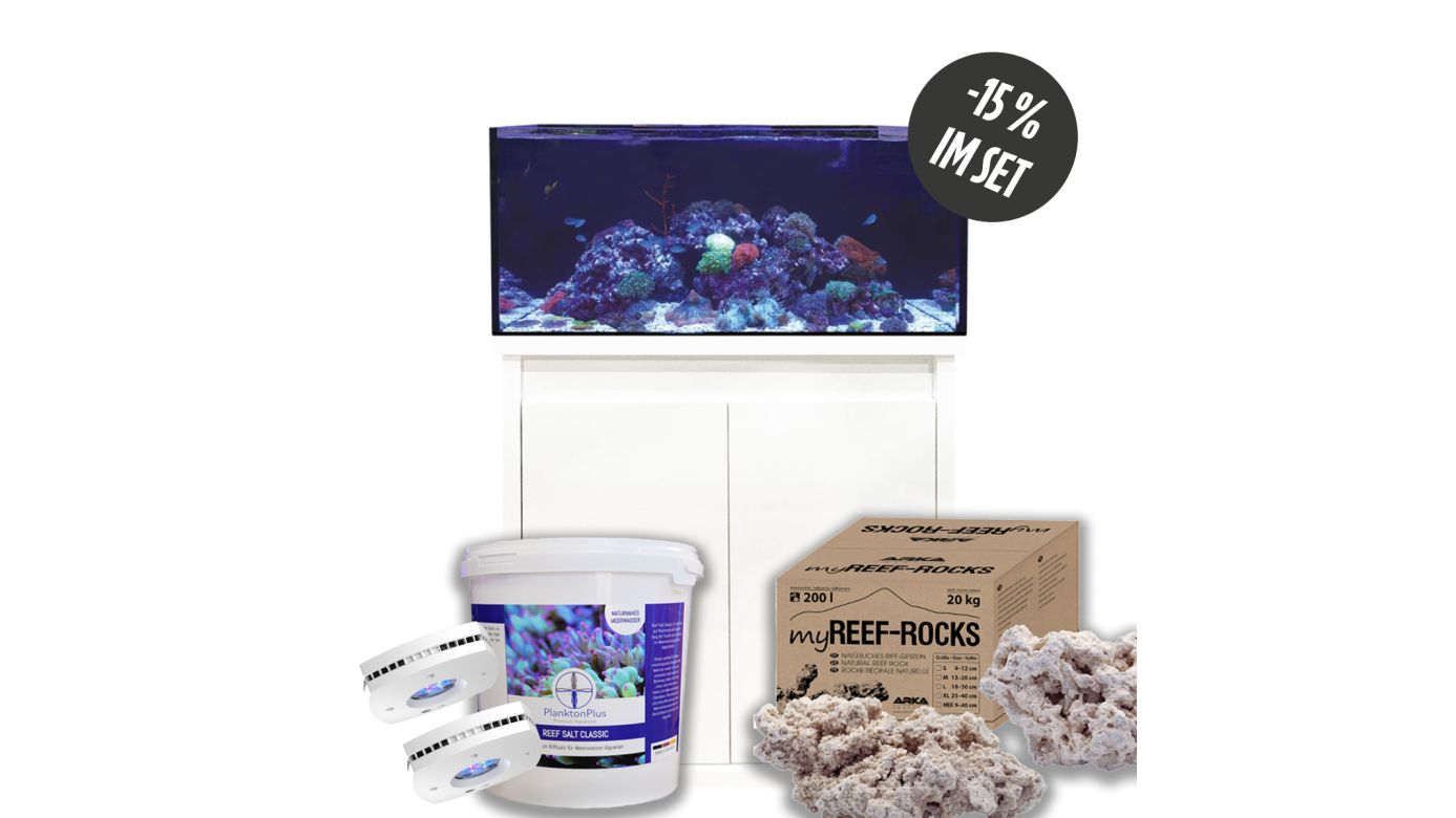 D-D Reef-Pro 900 D-LUX White Gloss Aquarium inkl. Beleuchtung, Riffaufbau, Salz