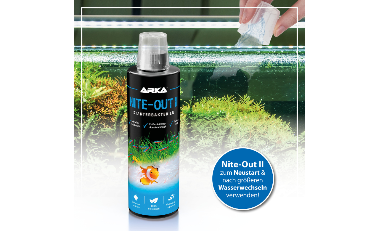 ARKA Nite-Out II 236ml MHD 05/2026